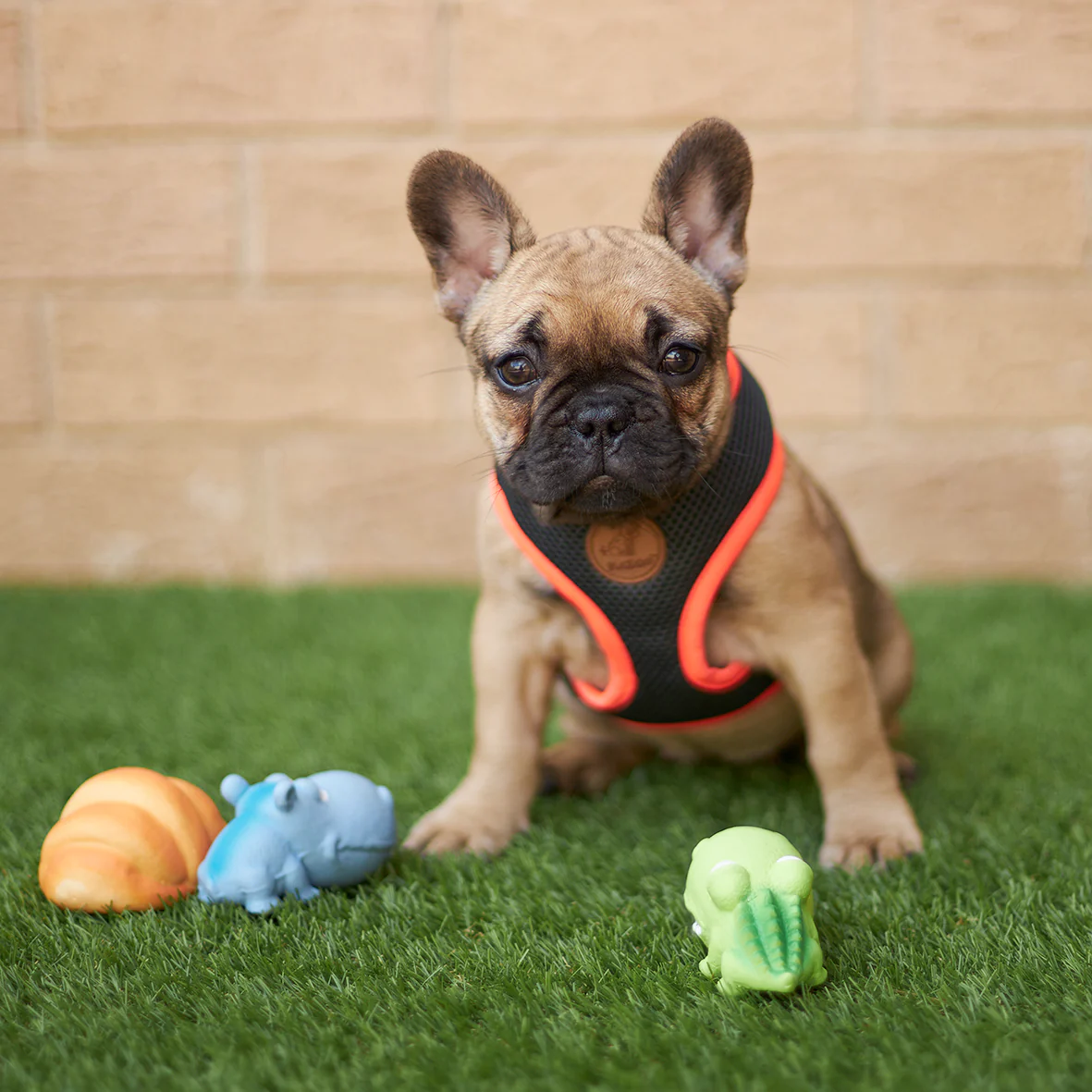 Active Soft Walking Dog Harness - Slate & Orange - Image 2