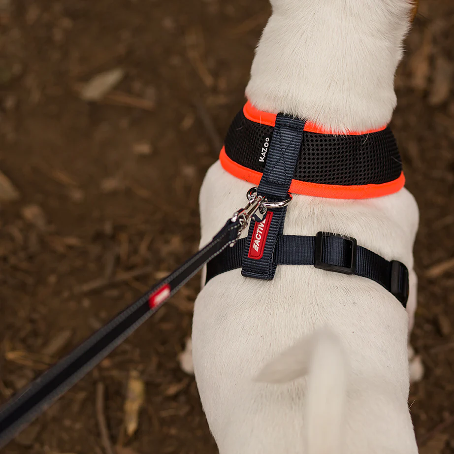 Active Soft Walking Dog Harness - Slate & Orange - Image 4