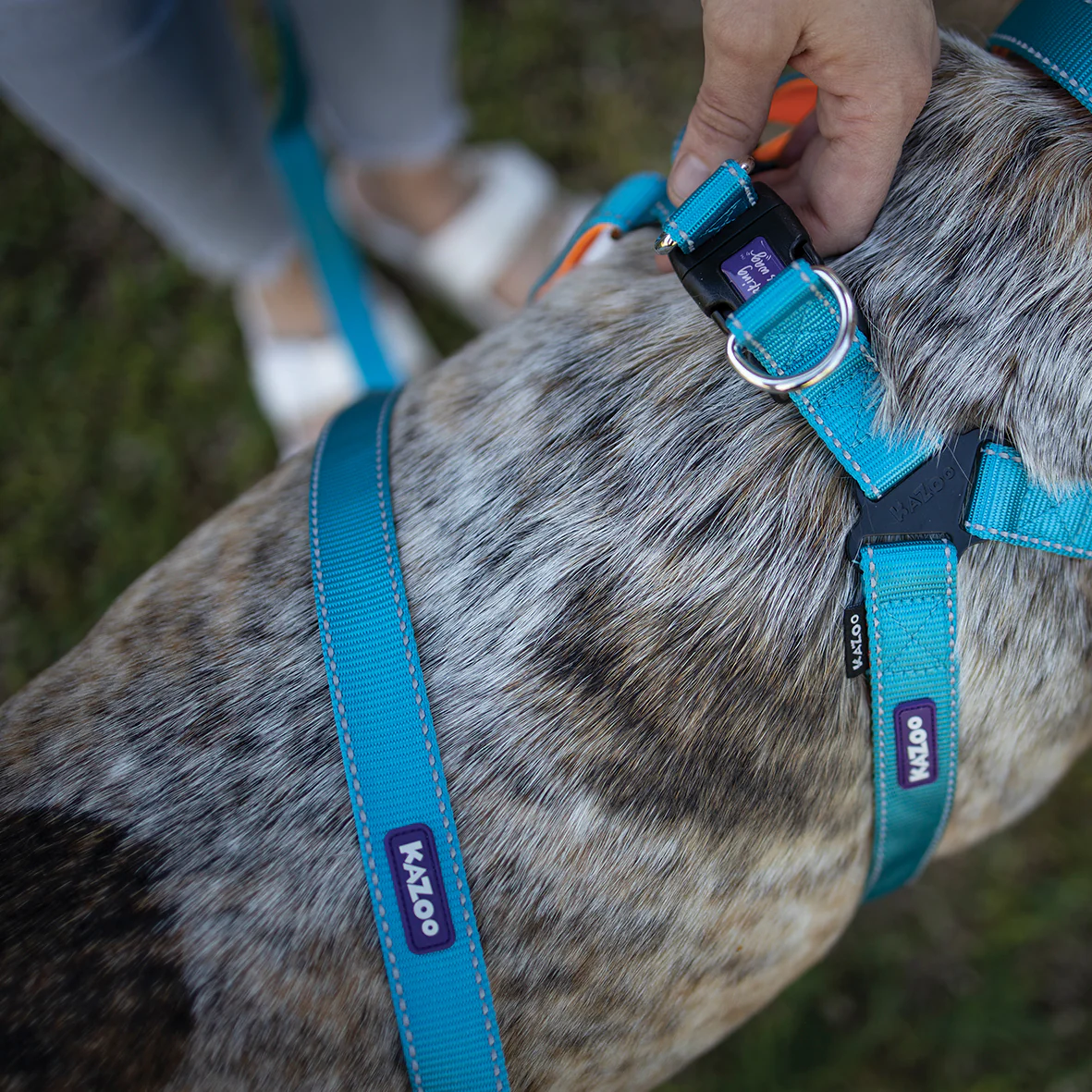 Active Walking Dog Harness - Ocean Sunrise - Image 6