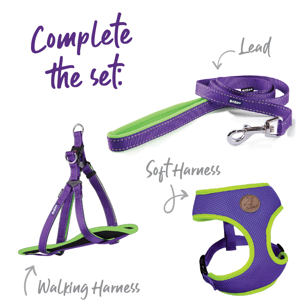 Active Walking Dog Harness - Purple & Lime - Image 8