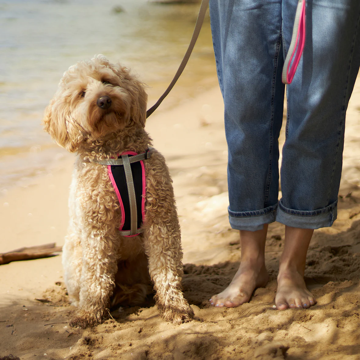 Active Walking Dog Harness - Silver & Pink - Image 3