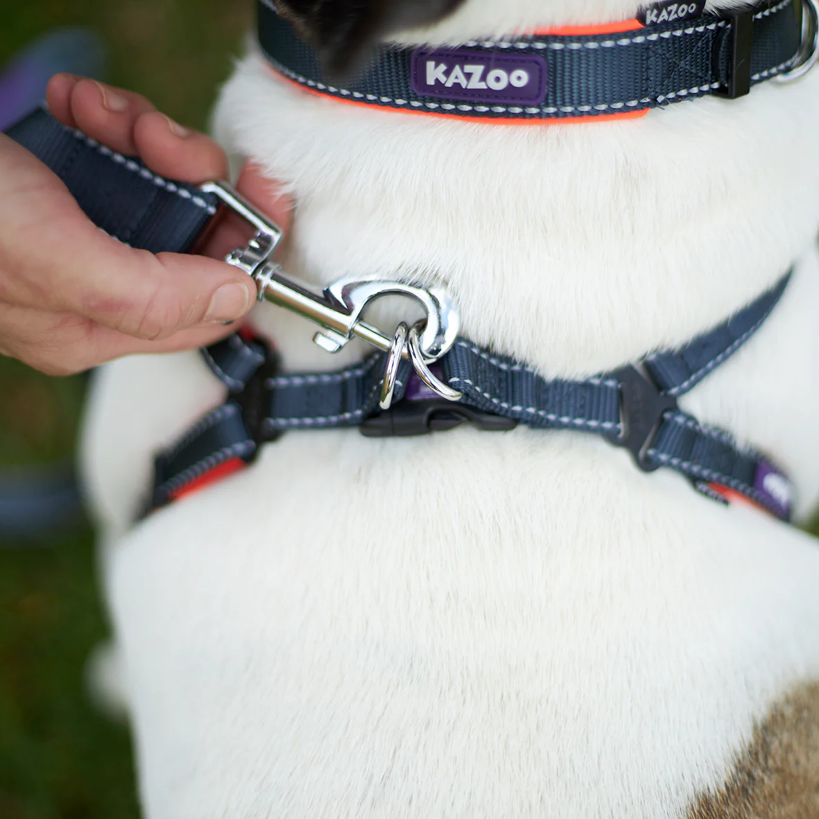 Active Walking Dog Harness - Slate & Orange - Image 5