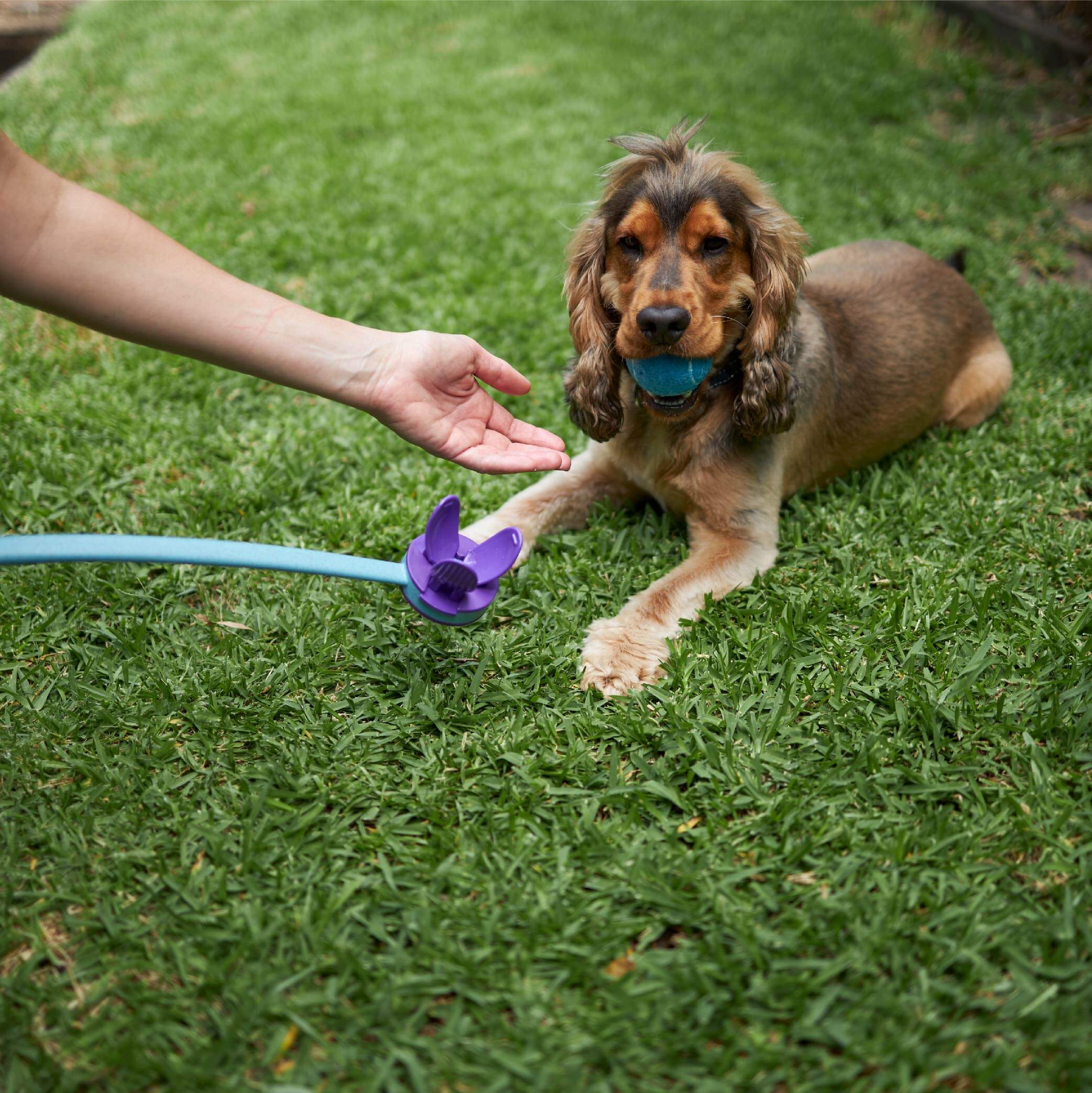 Adjustable Eco-Friendly Ball Thrower - Image 10