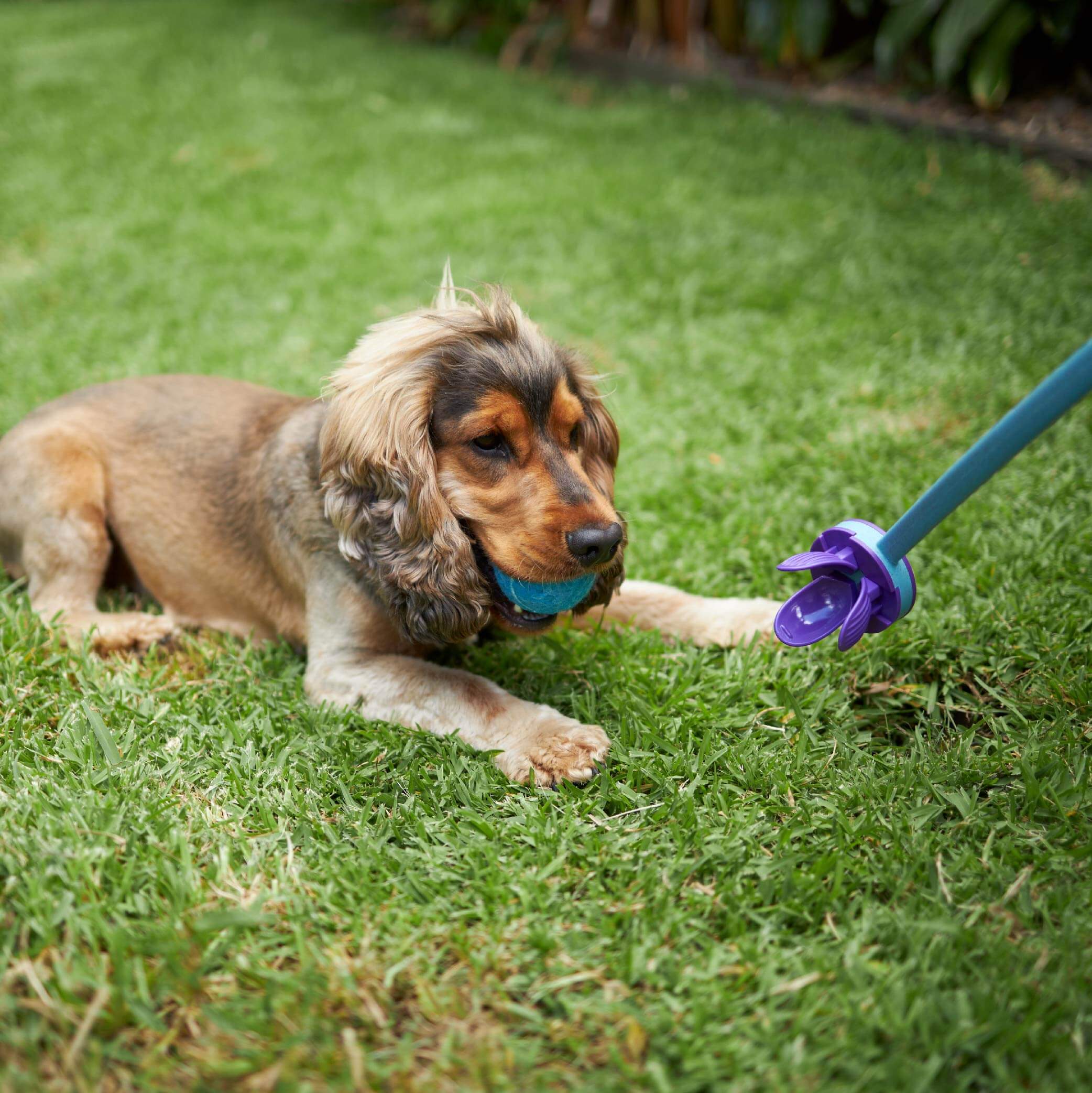 Adjustable Eco-Friendly Ball Thrower - Image 12