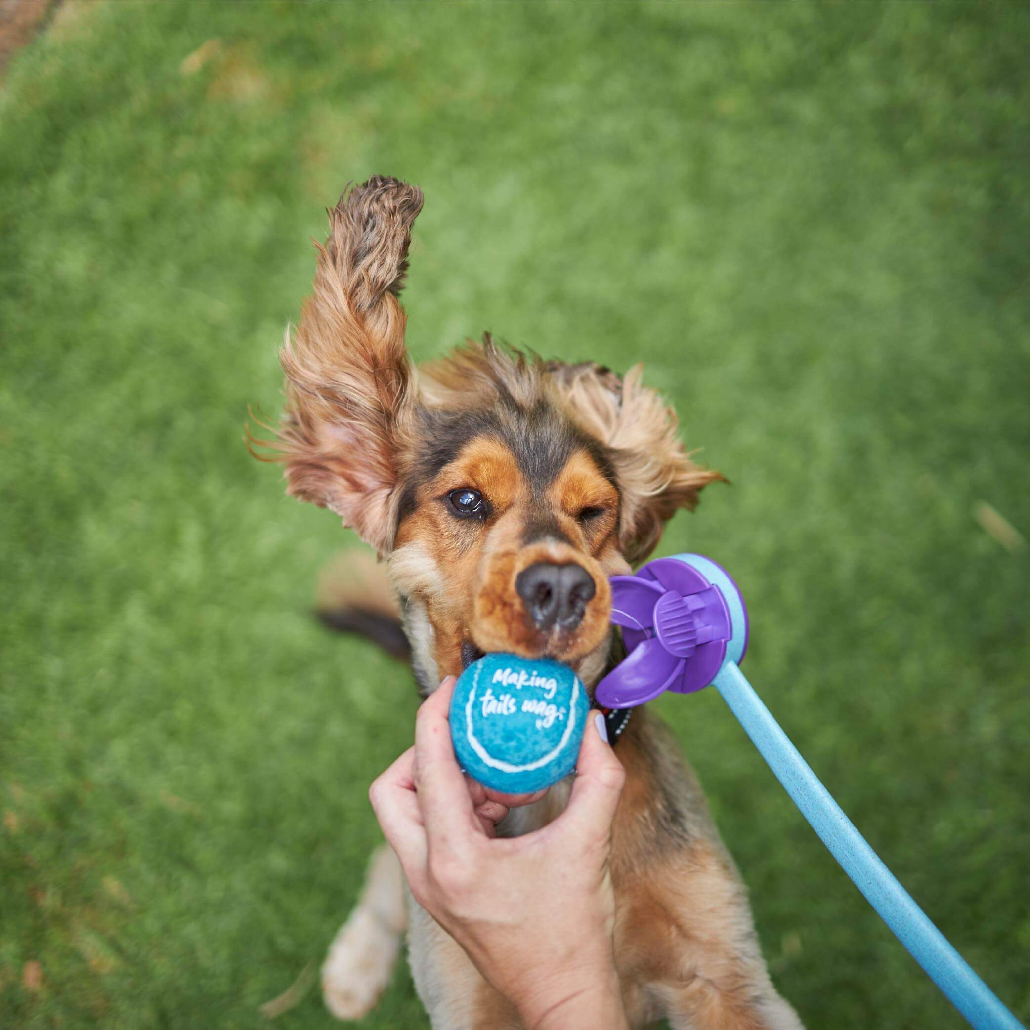 Adjustable Eco-Friendly Ball Thrower - Image 5