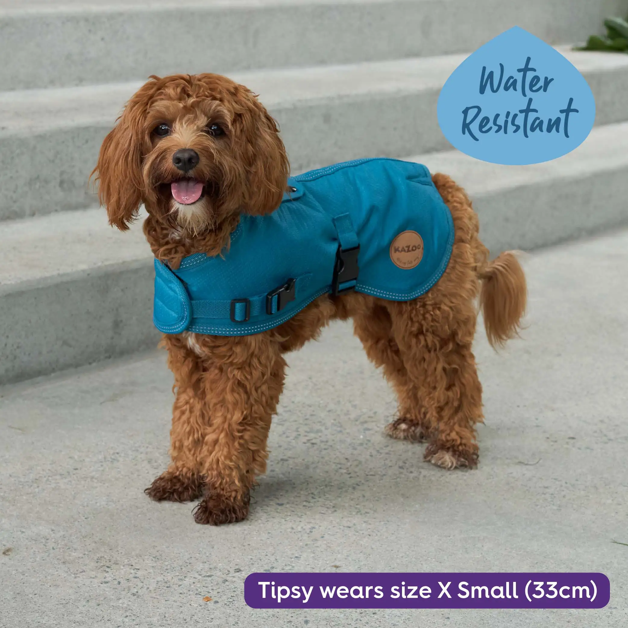 Adventure Dog Coat with Harness Hatch - Blue