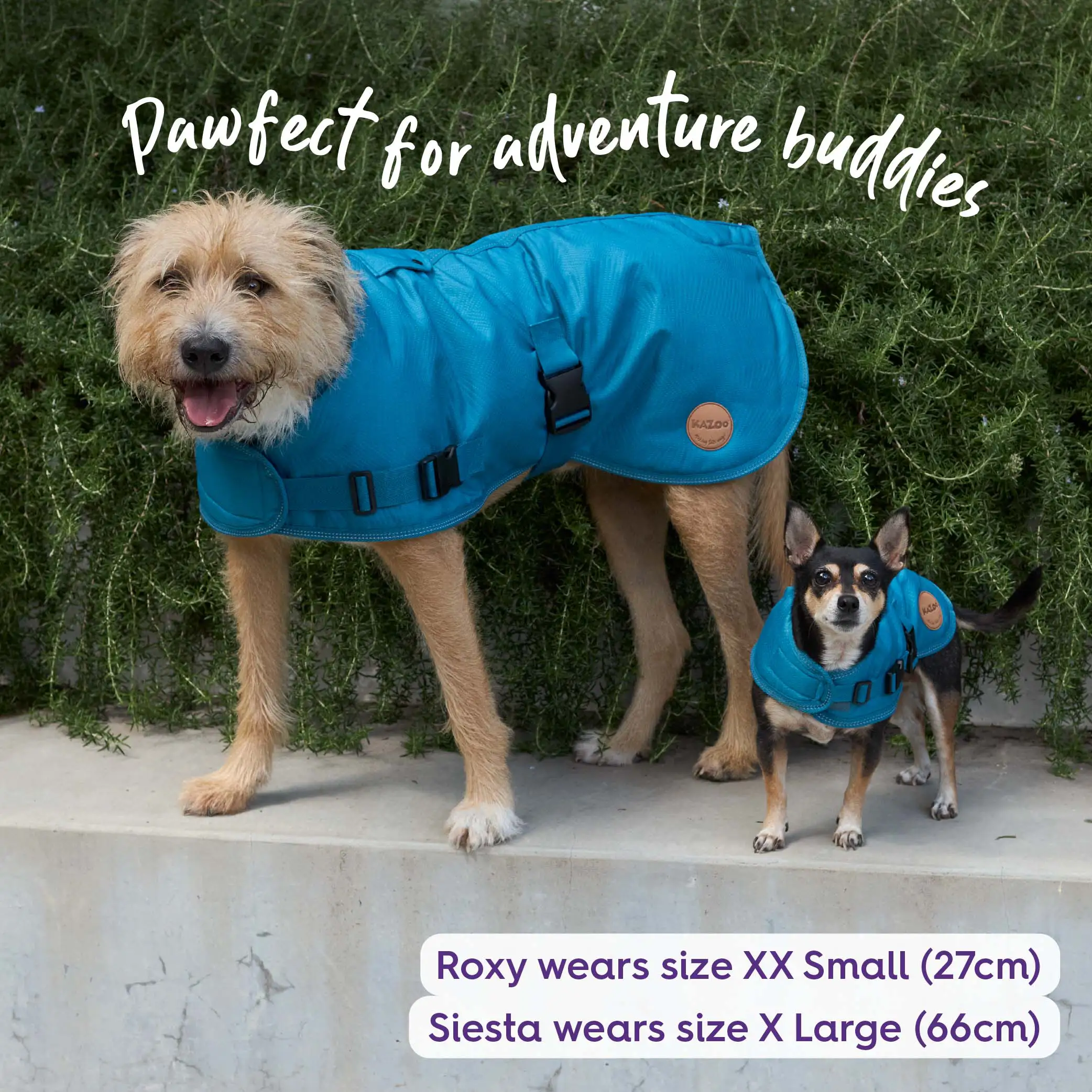 Adventure Dog Coat with Harness Hatch - Blue - Image 2