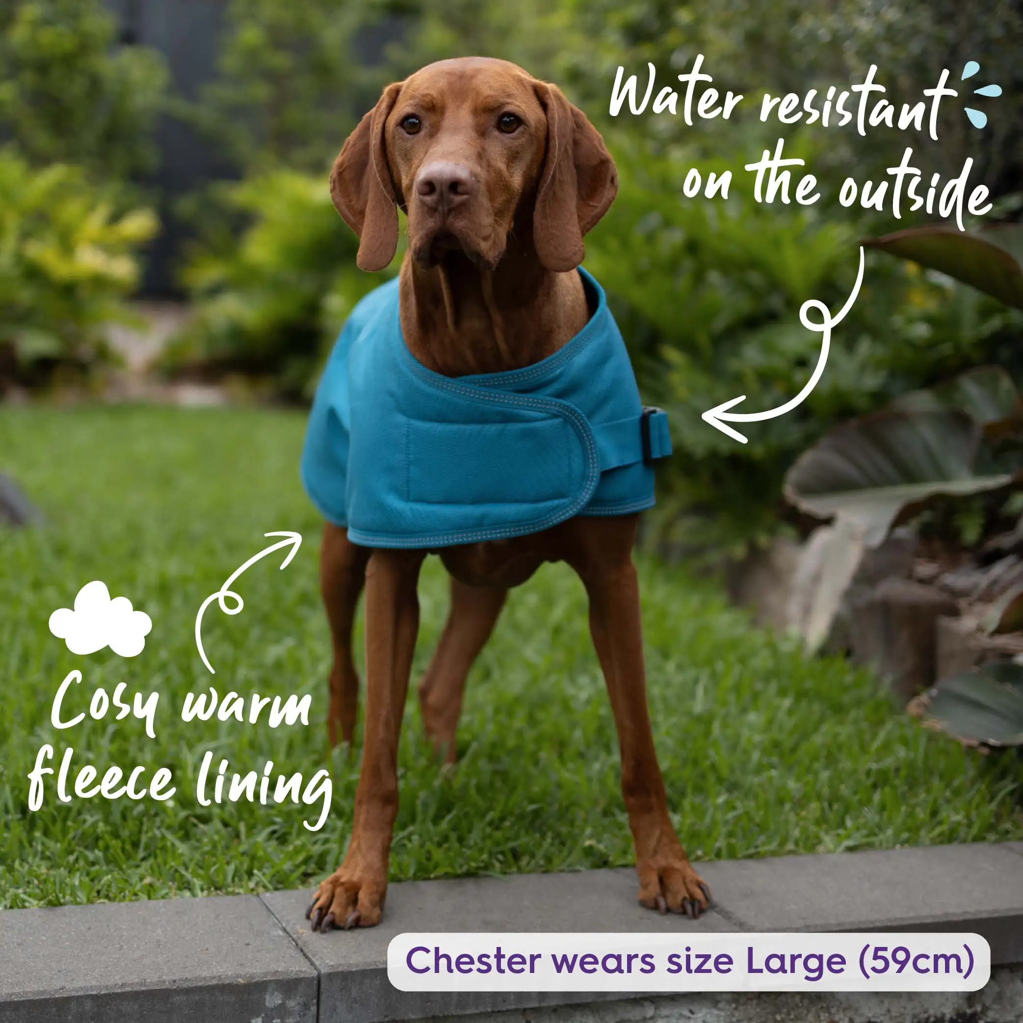 Adventure Dog Coat with Harness Hatch - Blue - Image 4