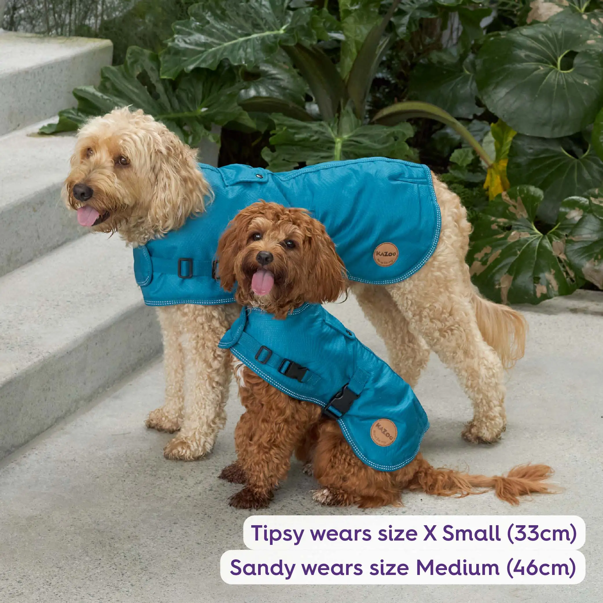 Adventure Dog Coat with Harness Hatch - Blue - Image 7