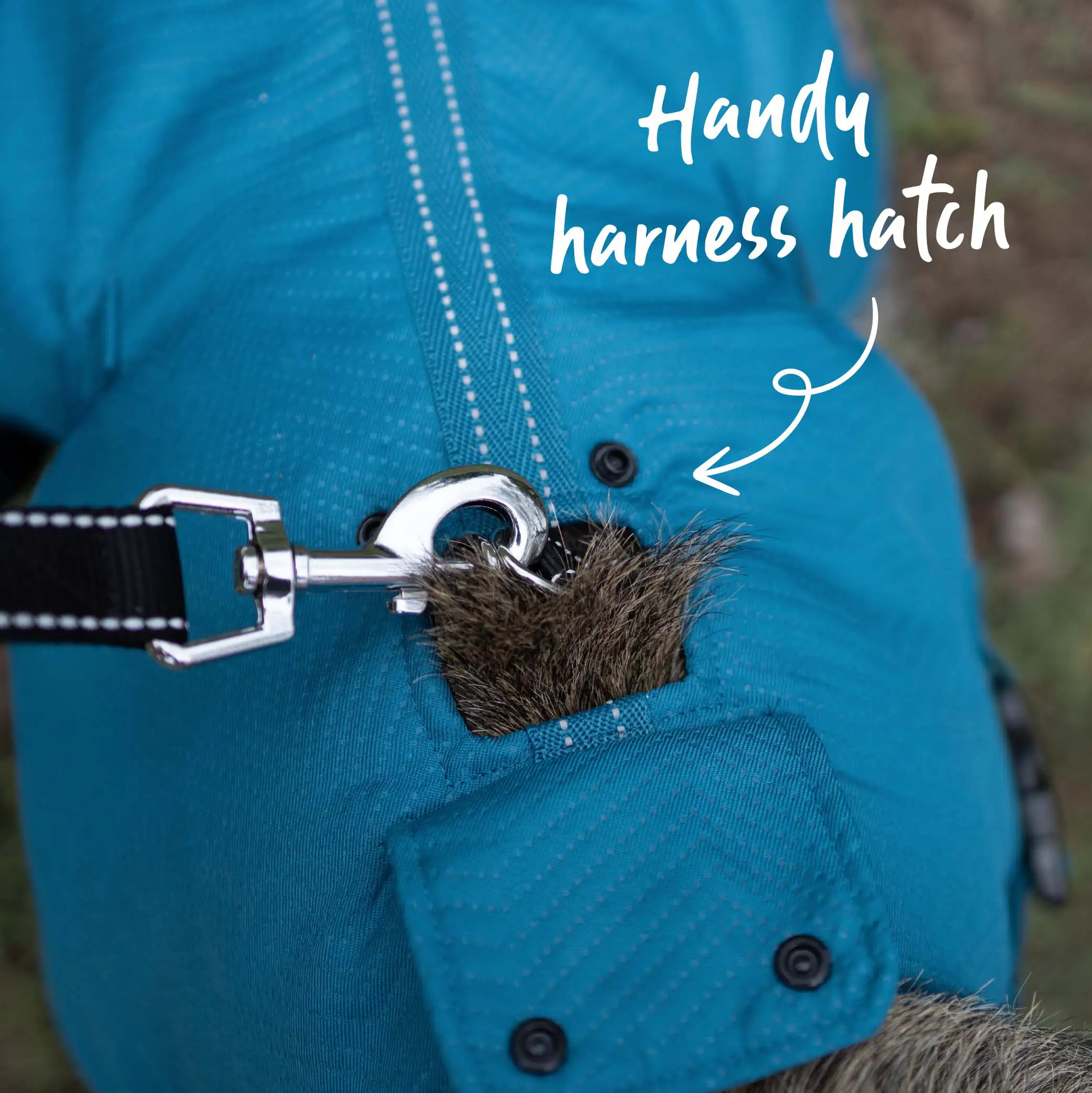 Adventure Dog Coat with Harness Hatch - Blue - Image 8