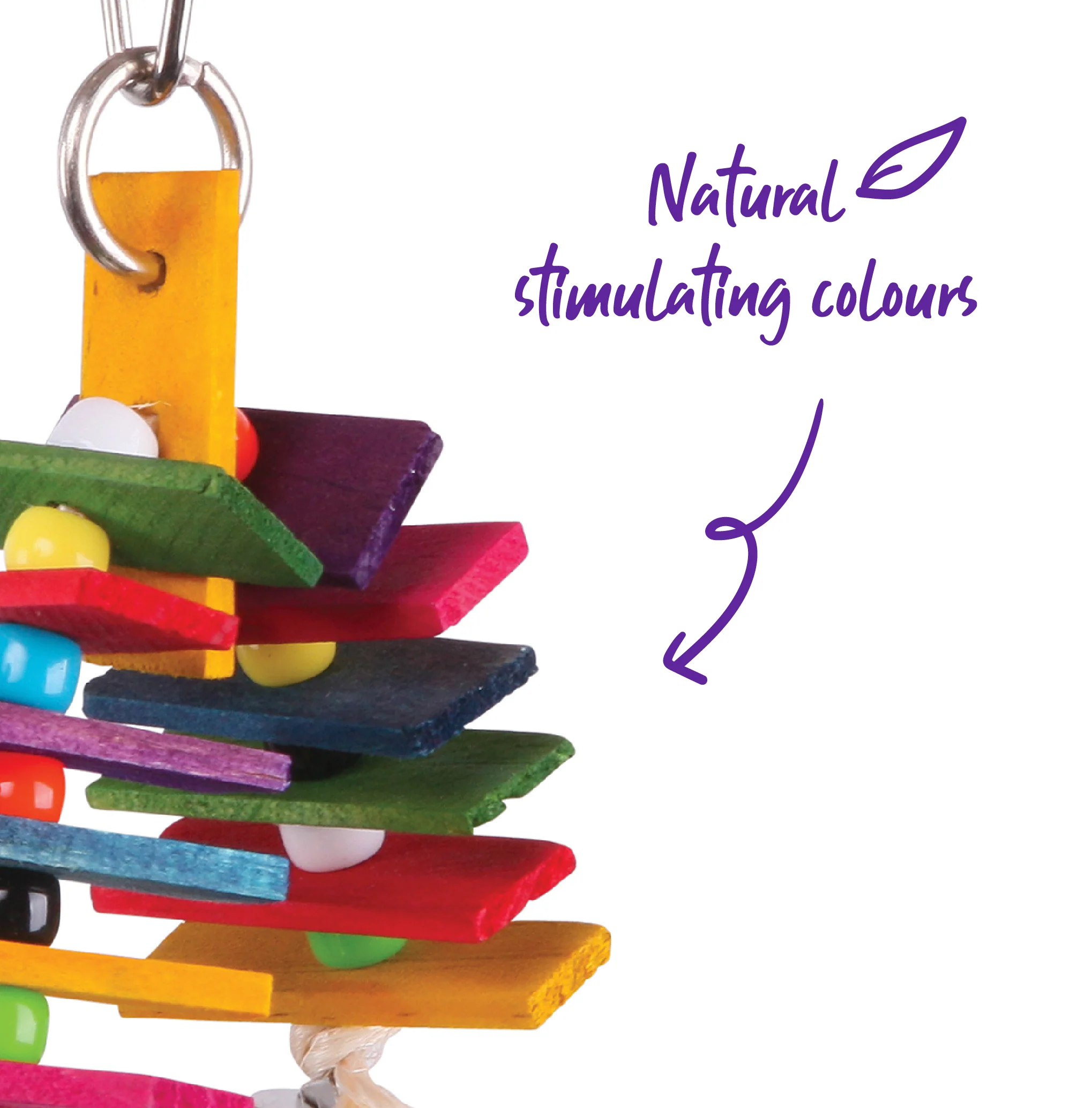 Arch Chips & Bells Bird Toy - Image 3