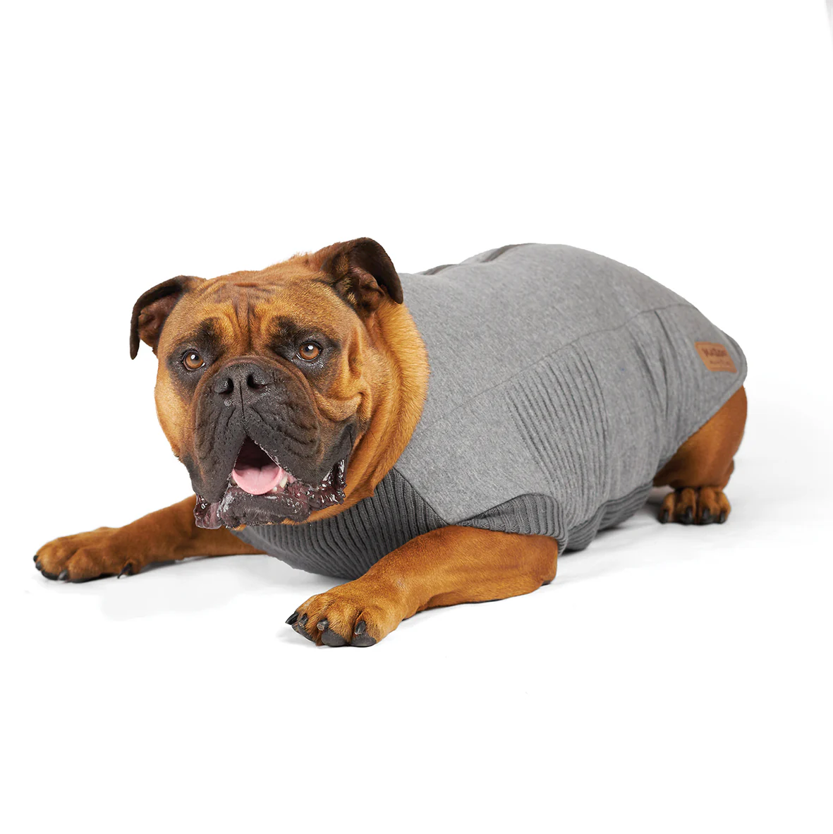 Armadillo Dog Jacket - Image 4