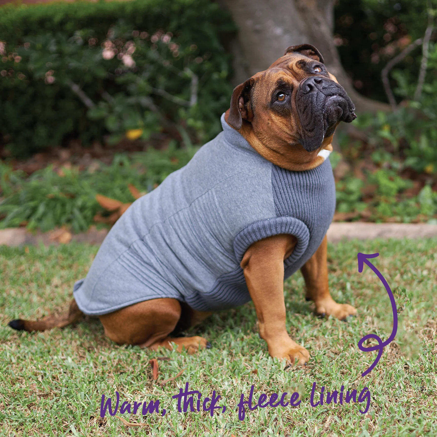 Armadillo Dog Jacket - Image 7
