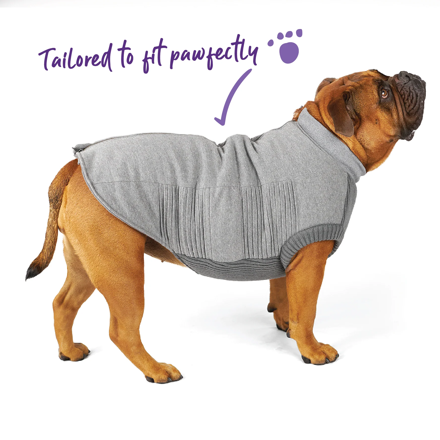 Armadillo Dog Jacket - Image 8