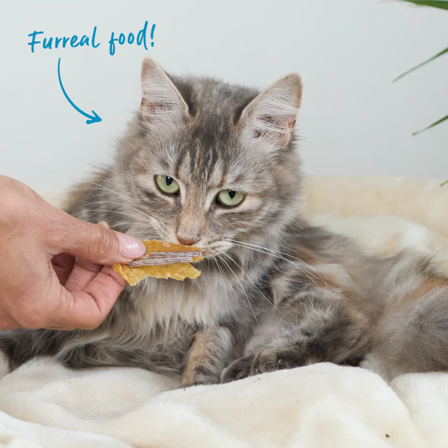 Aussie Anchovies Cat Treats - Image 4