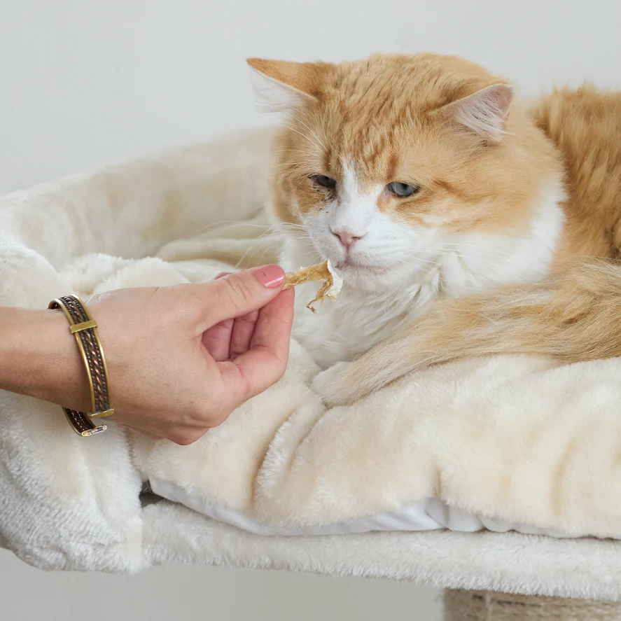 Aussie Anchovies Cat Treats - Image 8