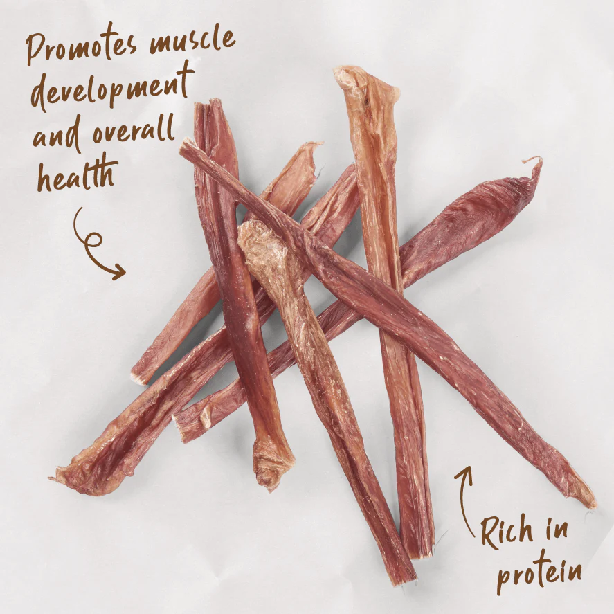 Aussie Bull Pizzle Dog Treats - Image 3
