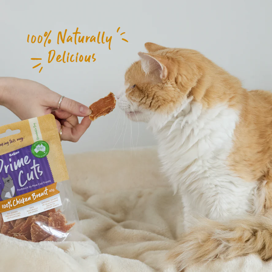Aussie Chicken Breast Cat Treats - Image 4