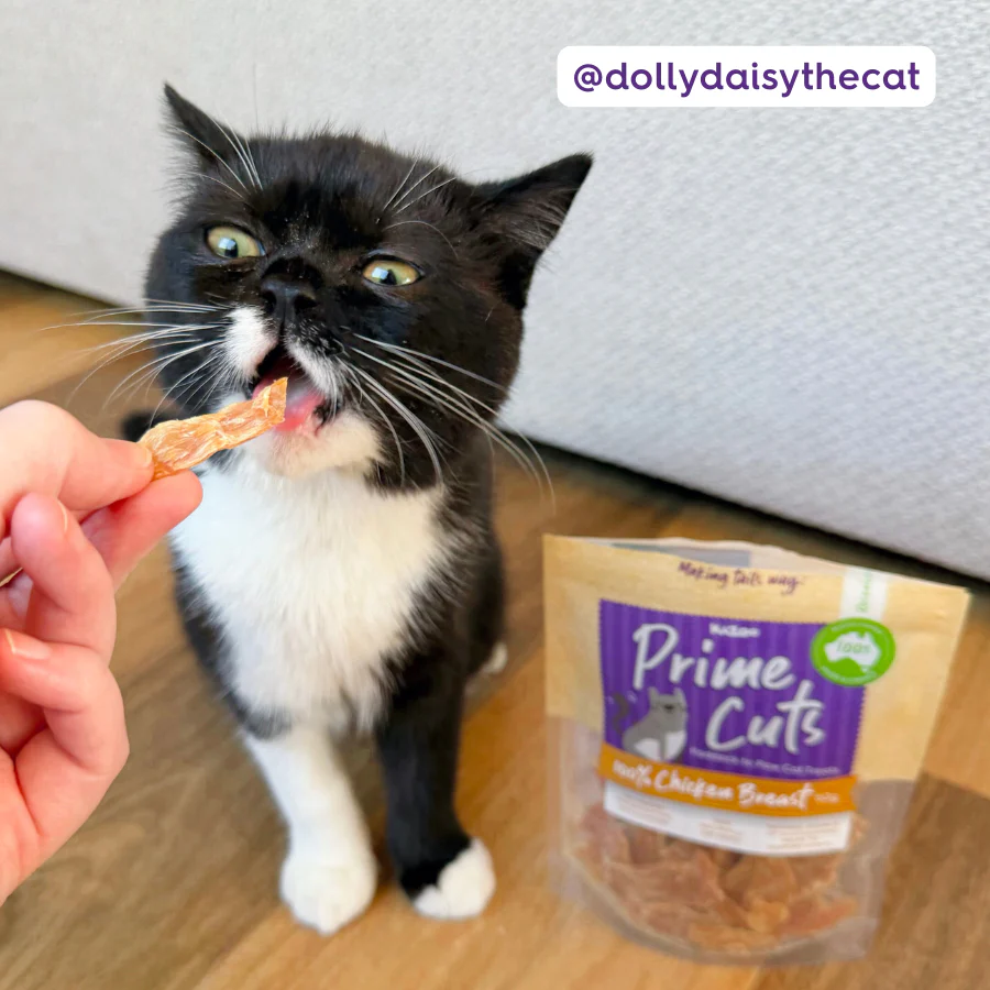 Aussie Chicken Breast Cat Treats - Image 8