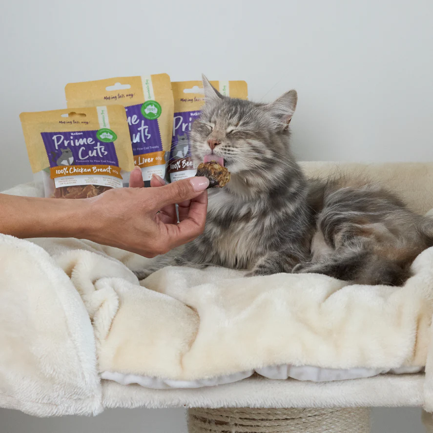 Aussie Duck Heart Cat Treats - Image 6