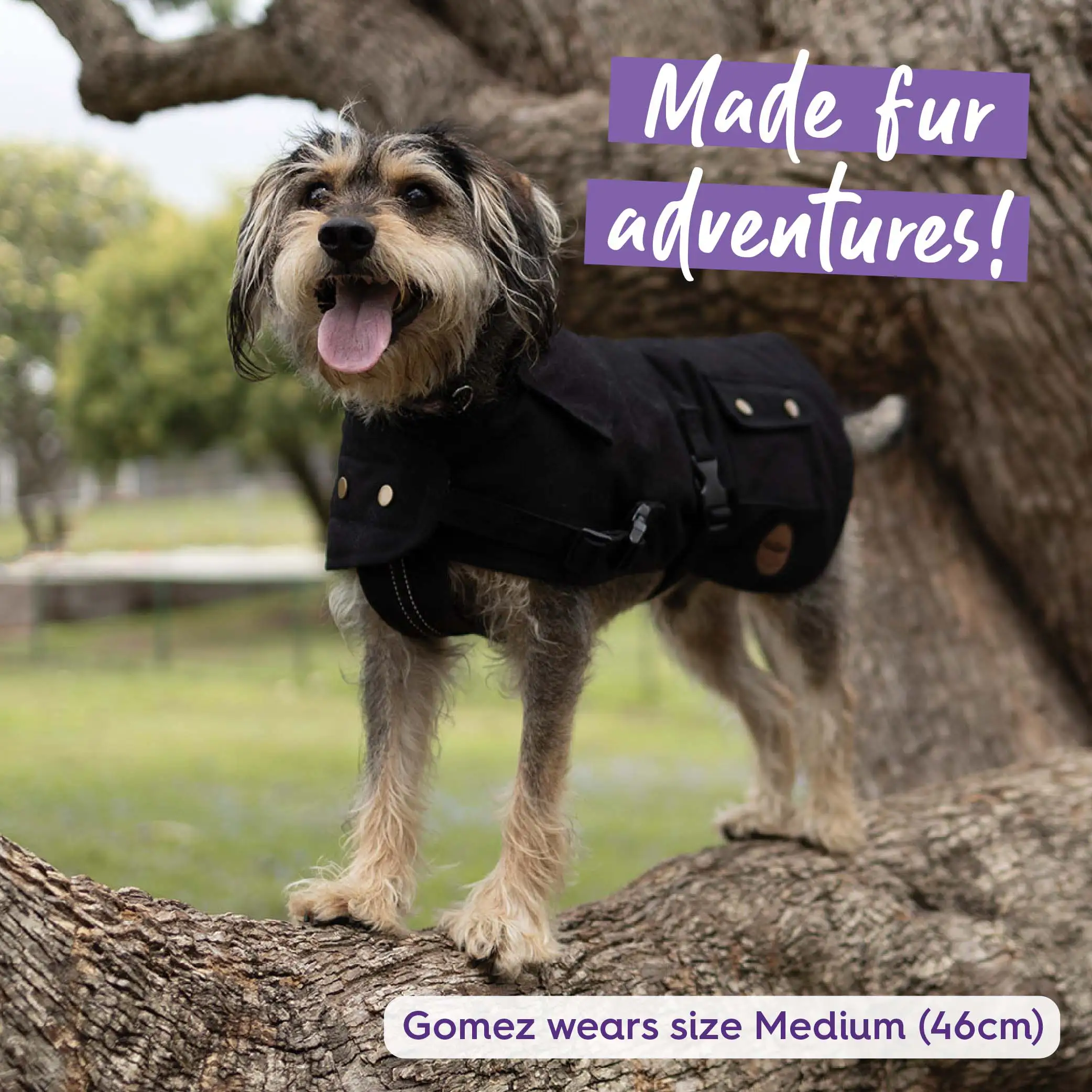 Aussie Oilskin Waterproof Dog Coat - Black - Image 5