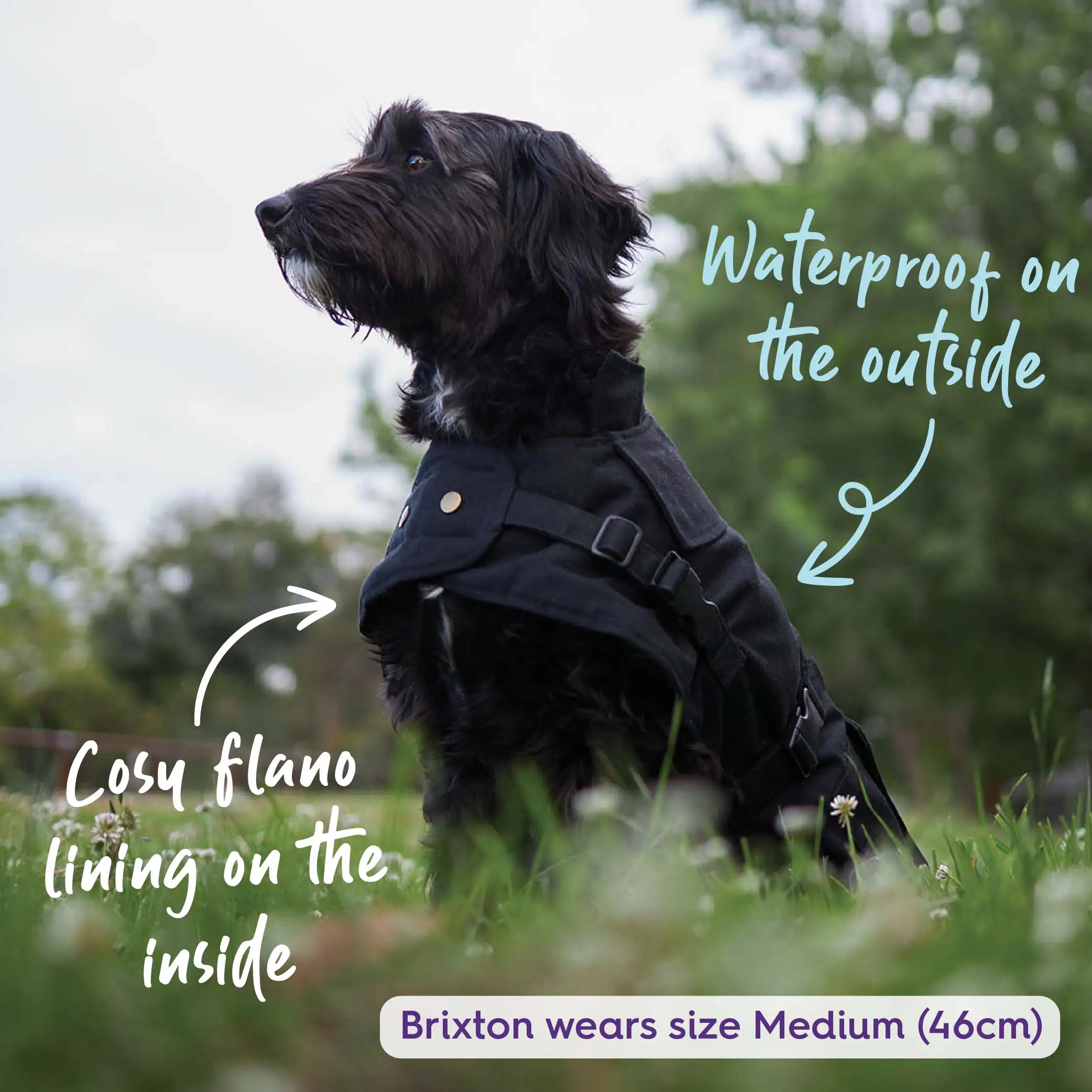Aussie Oilskin Waterproof Dog Coat - Black - Image 6