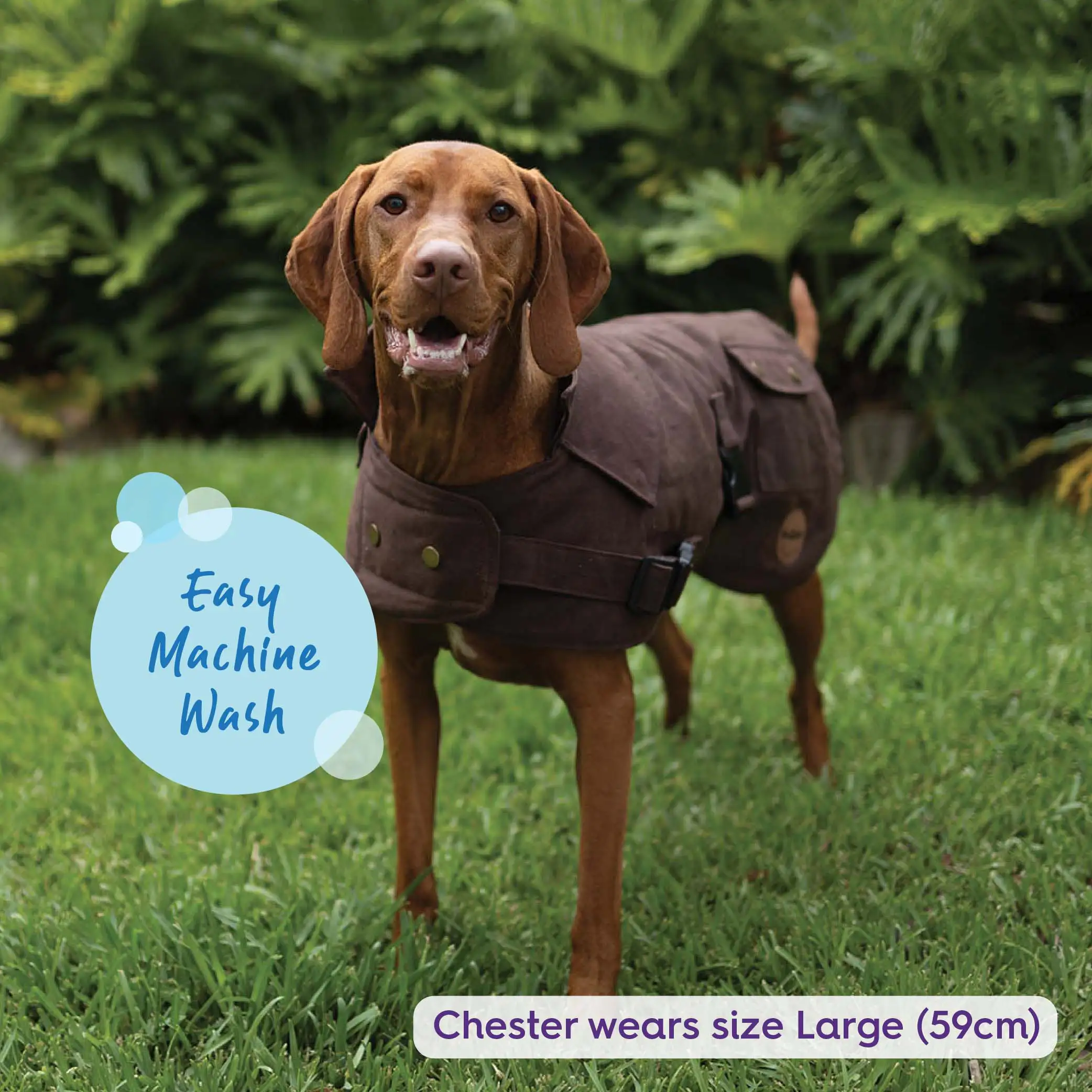 Aussie Oilskin Waterproof Dog Coat - Brown - Image 3