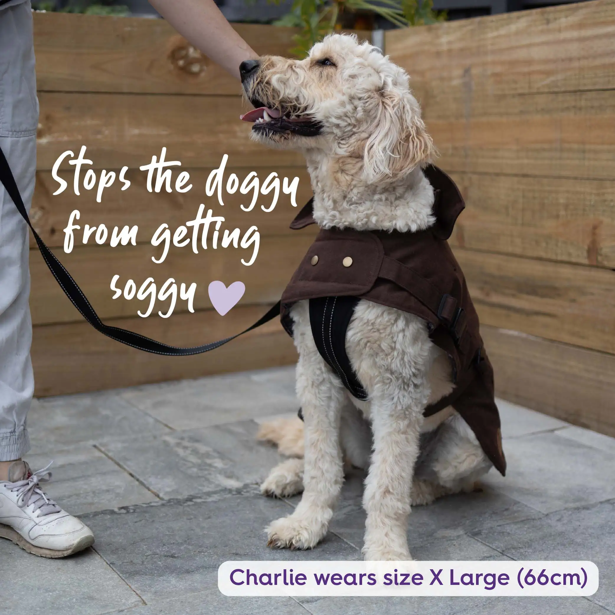 Aussie Oilskin Waterproof Dog Coat - Brown - Image 5