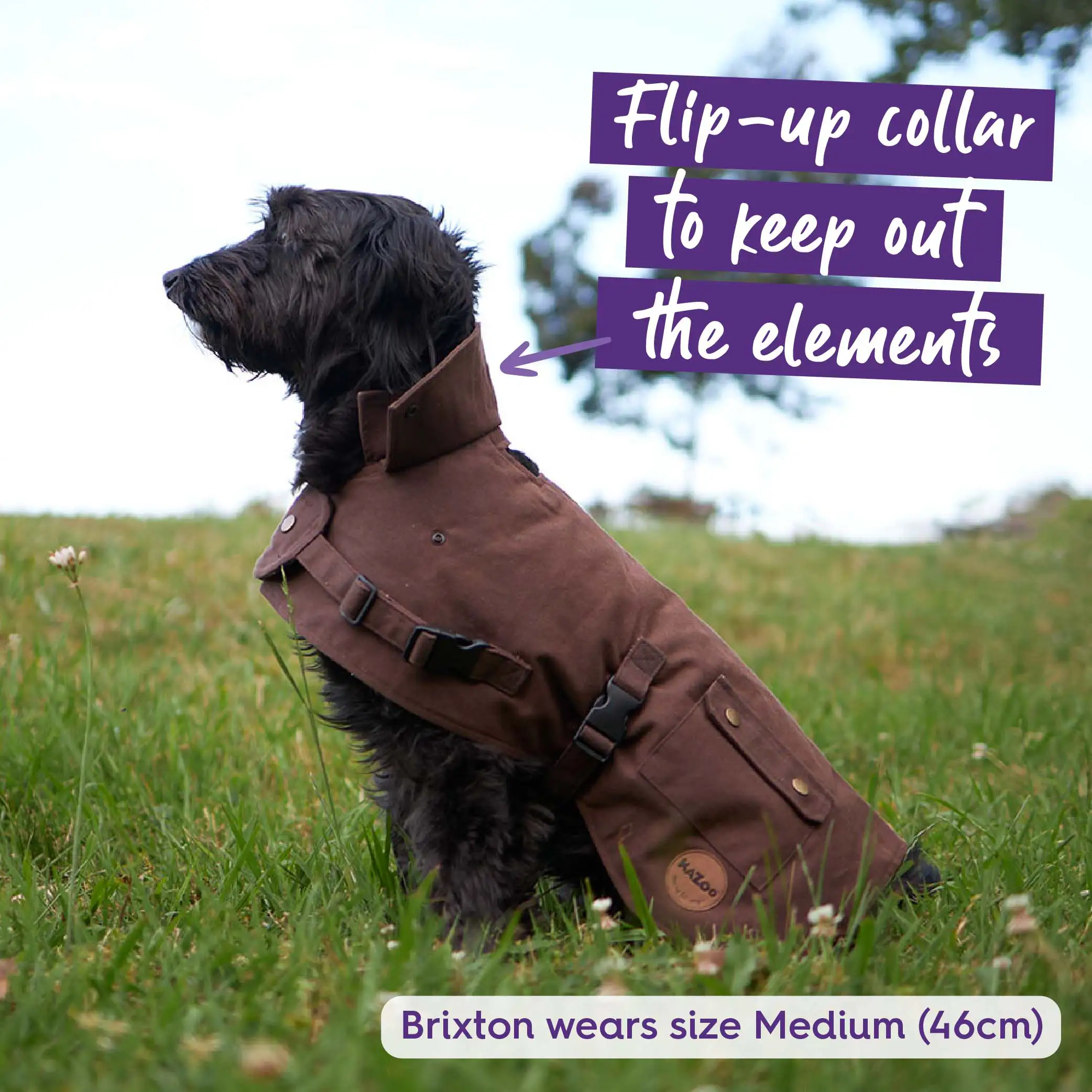 Aussie Oilskin Waterproof Dog Coat - Brown - Image 7
