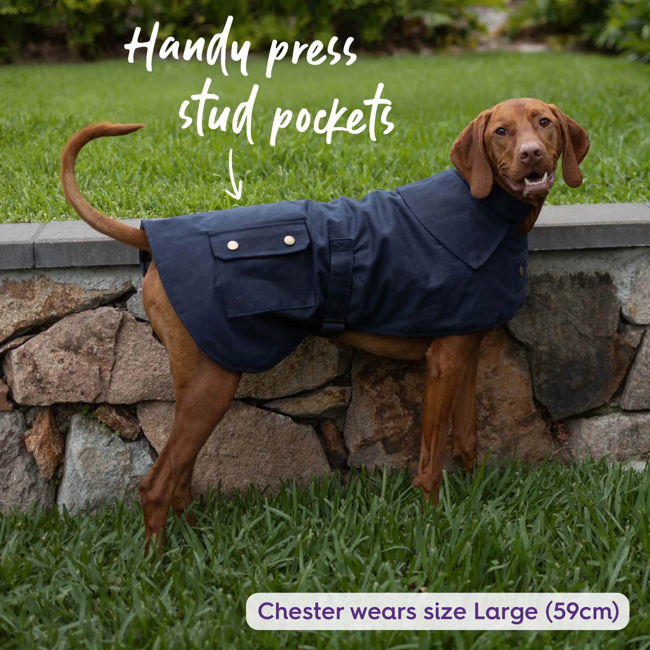 Aussie Oilskin Waterproof Dog Coat - Navy - Image 3