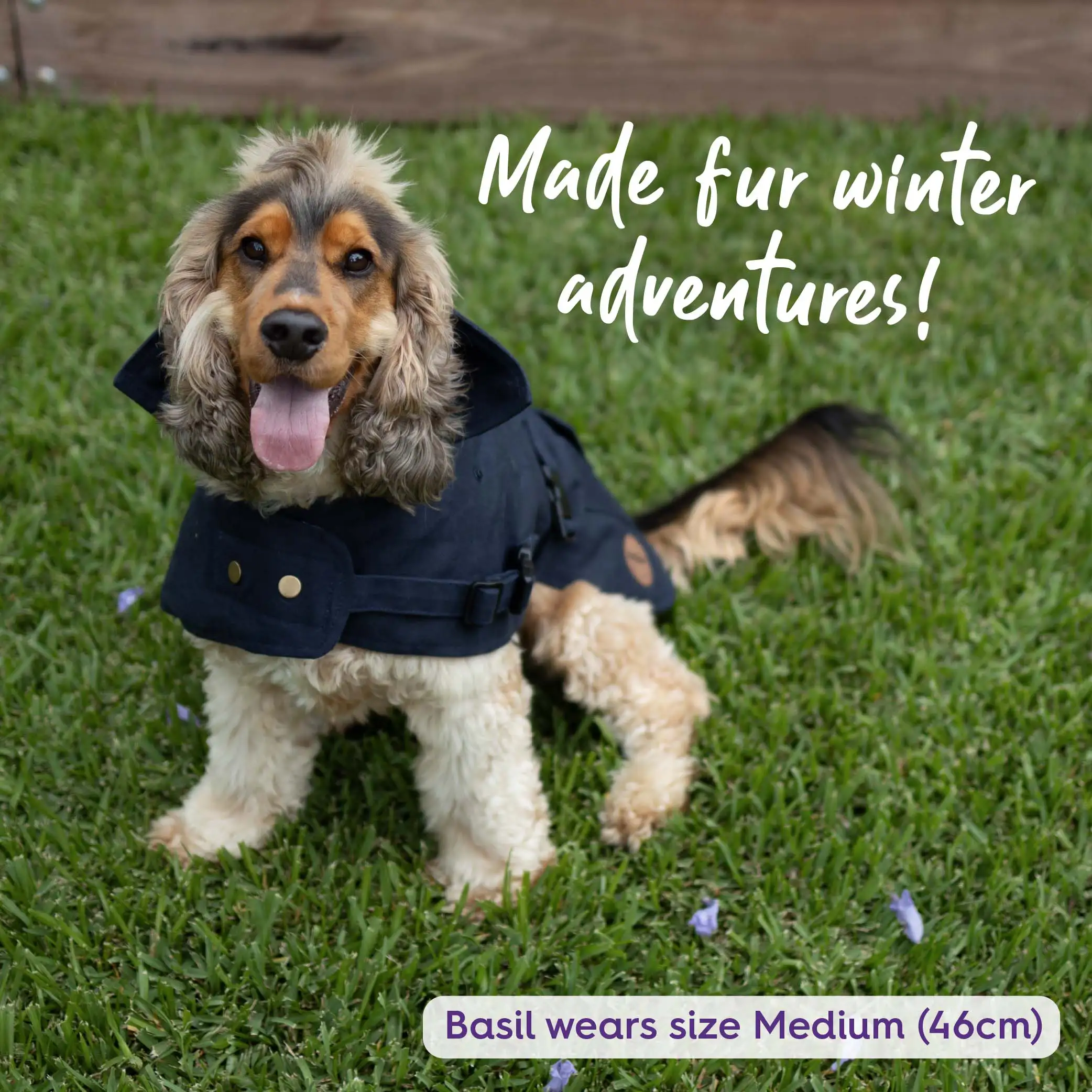 Aussie Oilskin Waterproof Dog Coat - Navy - Image 7