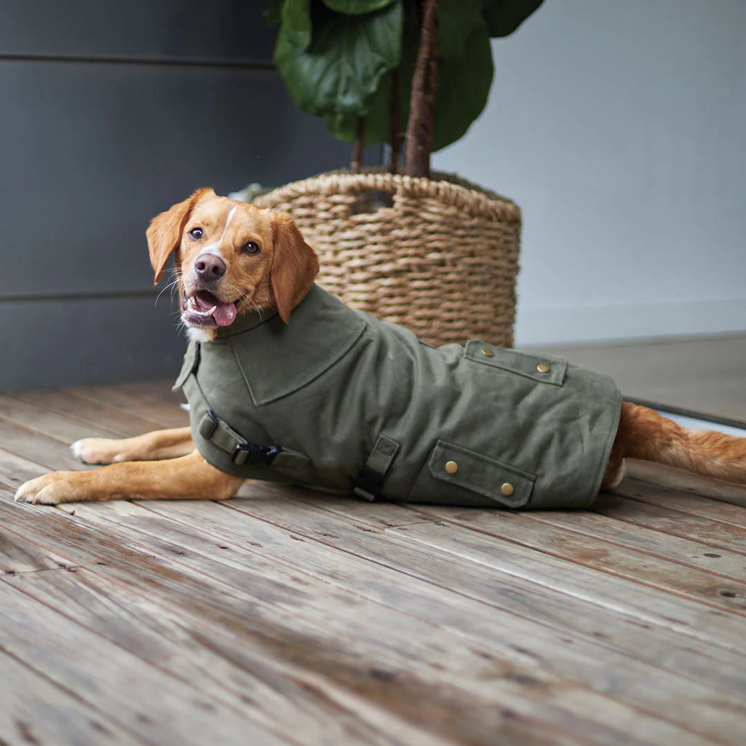 Aussie Oilskin Waterproof Dog Coat - Olive - Image 2