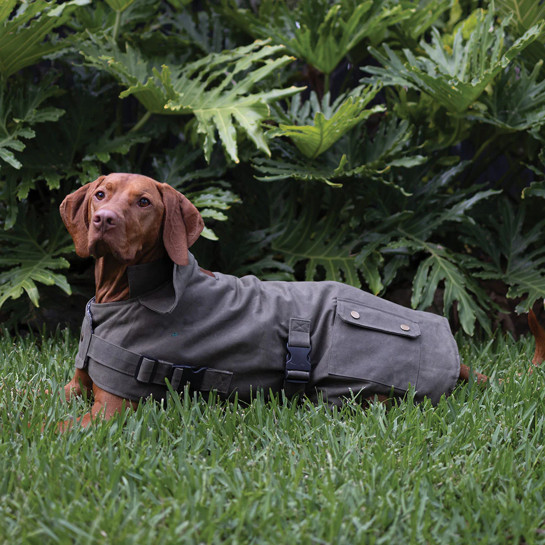 Aussie Oilskin Waterproof Dog Coat - Olive - Image 6