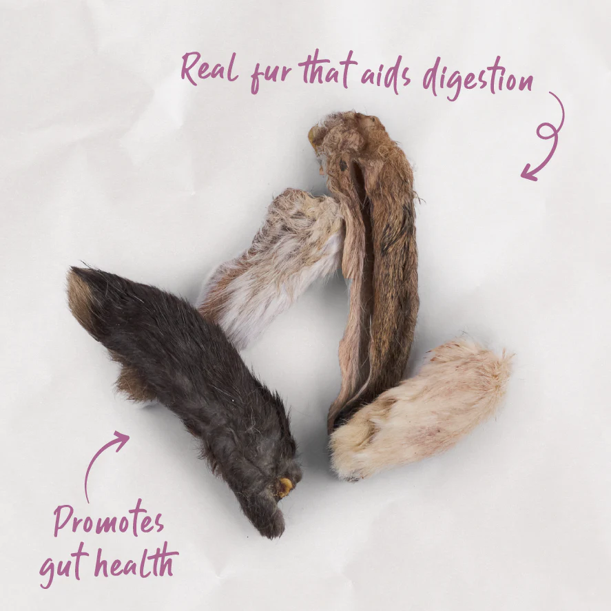 Aussie Rabbit Ears w/ Fur Cat Treats - Image 3
