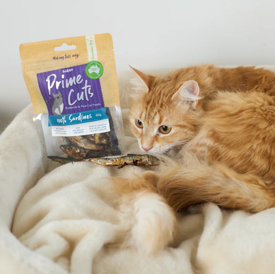 Aussie Sardines Cat Treats - Image 4