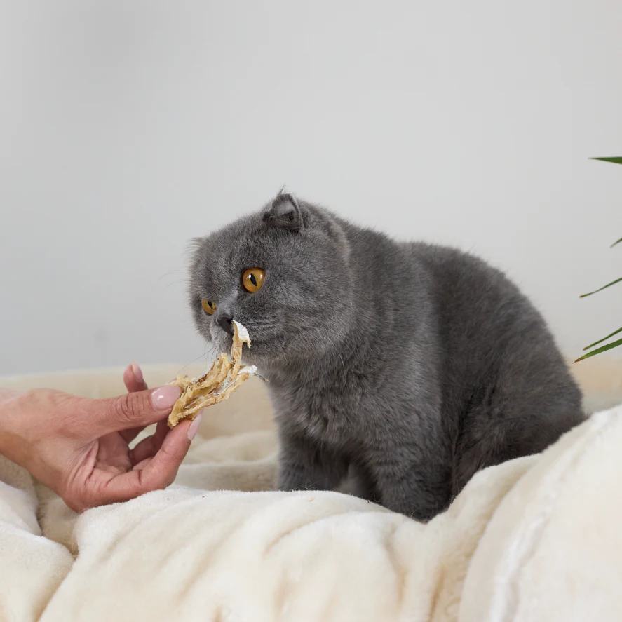 Aussie Whiting Cat Treats - Image 2