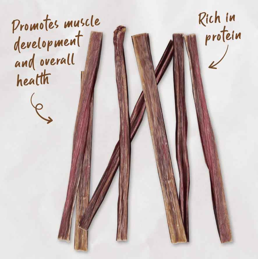 Beef Bully Stick Dog Treats - Image 5