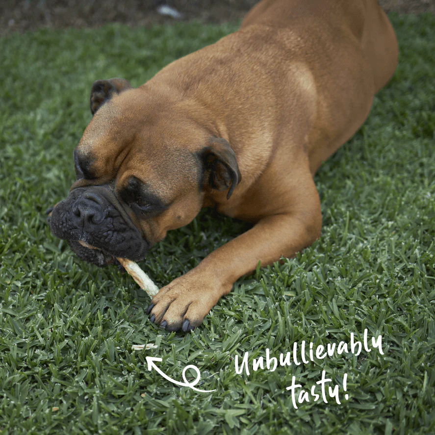 Beef Bully Stick Dog Treats - Image 8
