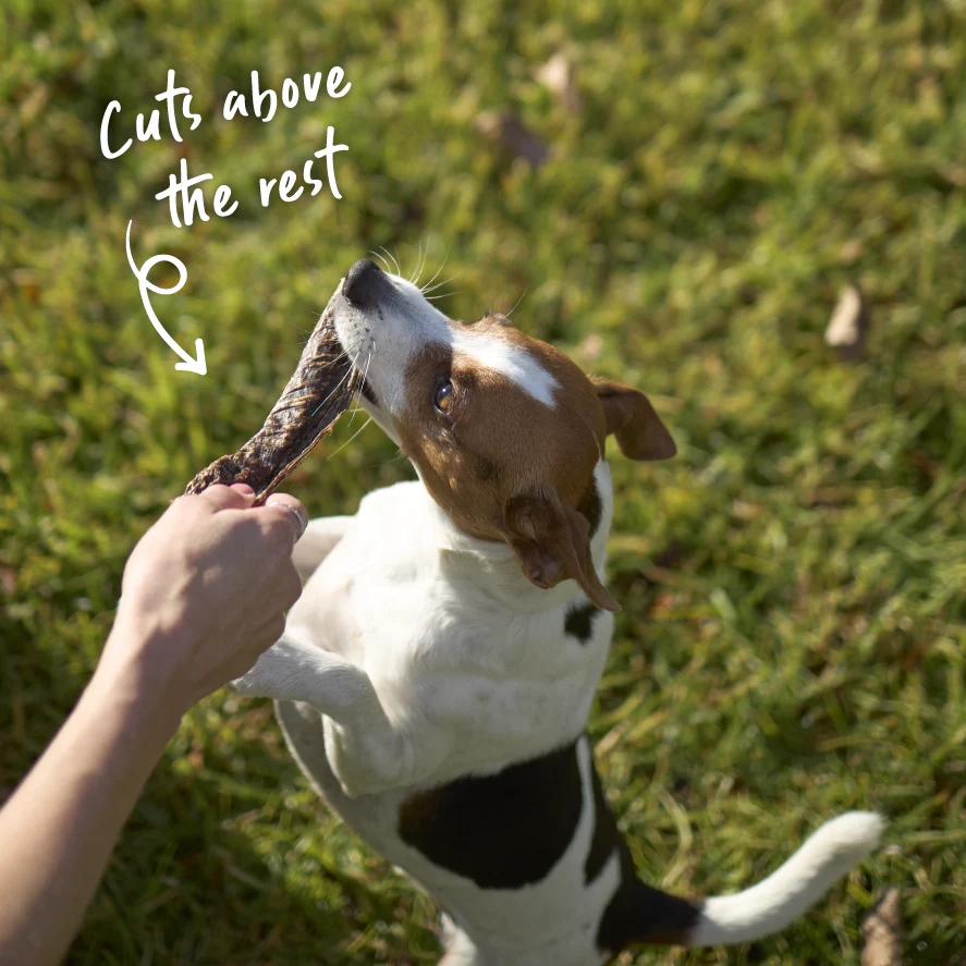 Aussie Beef Liver Chips Dog Treats - Image 10