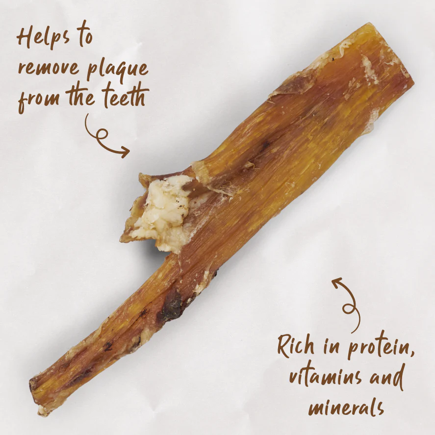 Aussie Beef Paddywack Dog Treat - Image 2