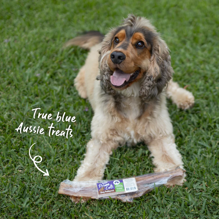 Aussie Beef Paddywack Dog Treat - Image 3