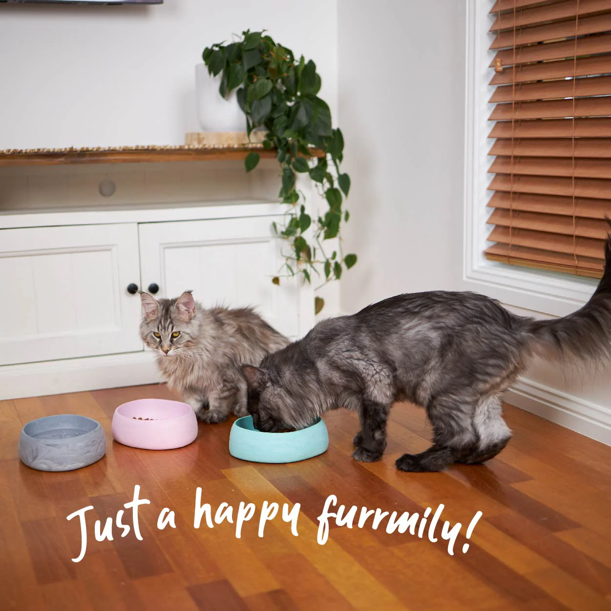 Better Bowl For Cats - Musk Pink - Image 3