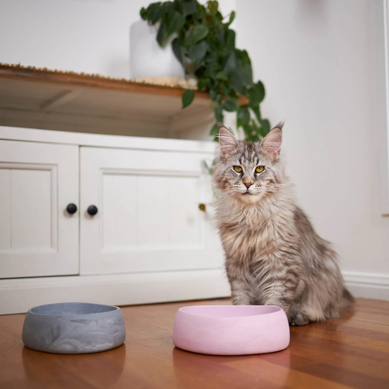 Better Bowl For Cats - Musk Pink - Image 7