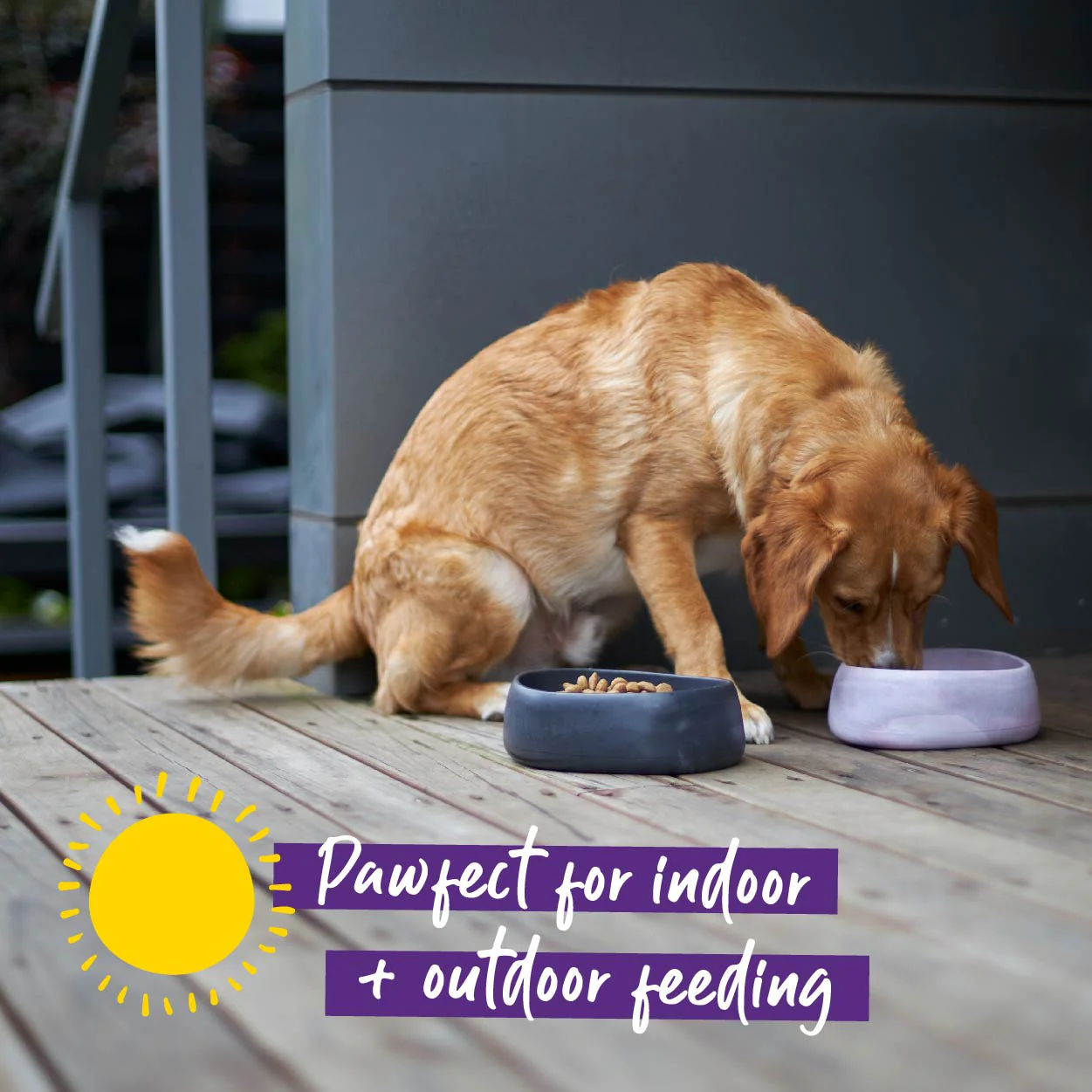 Better Bowl For Dogs - Musk Pink - Image 10