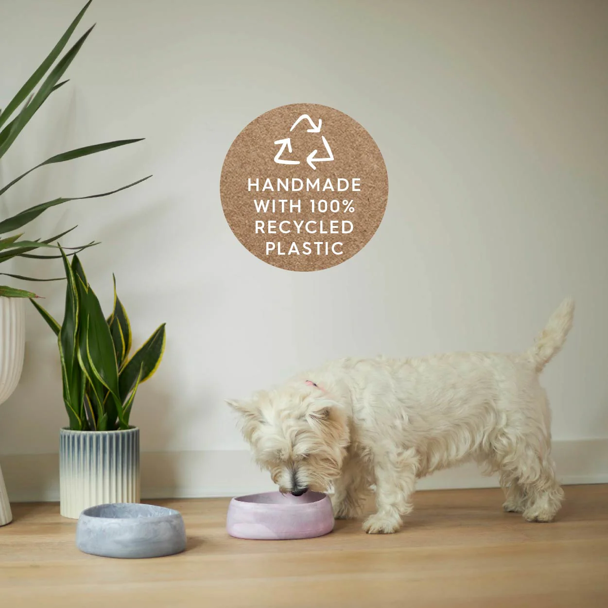 Better Bowl For Dogs - Musk Pink - Image 12