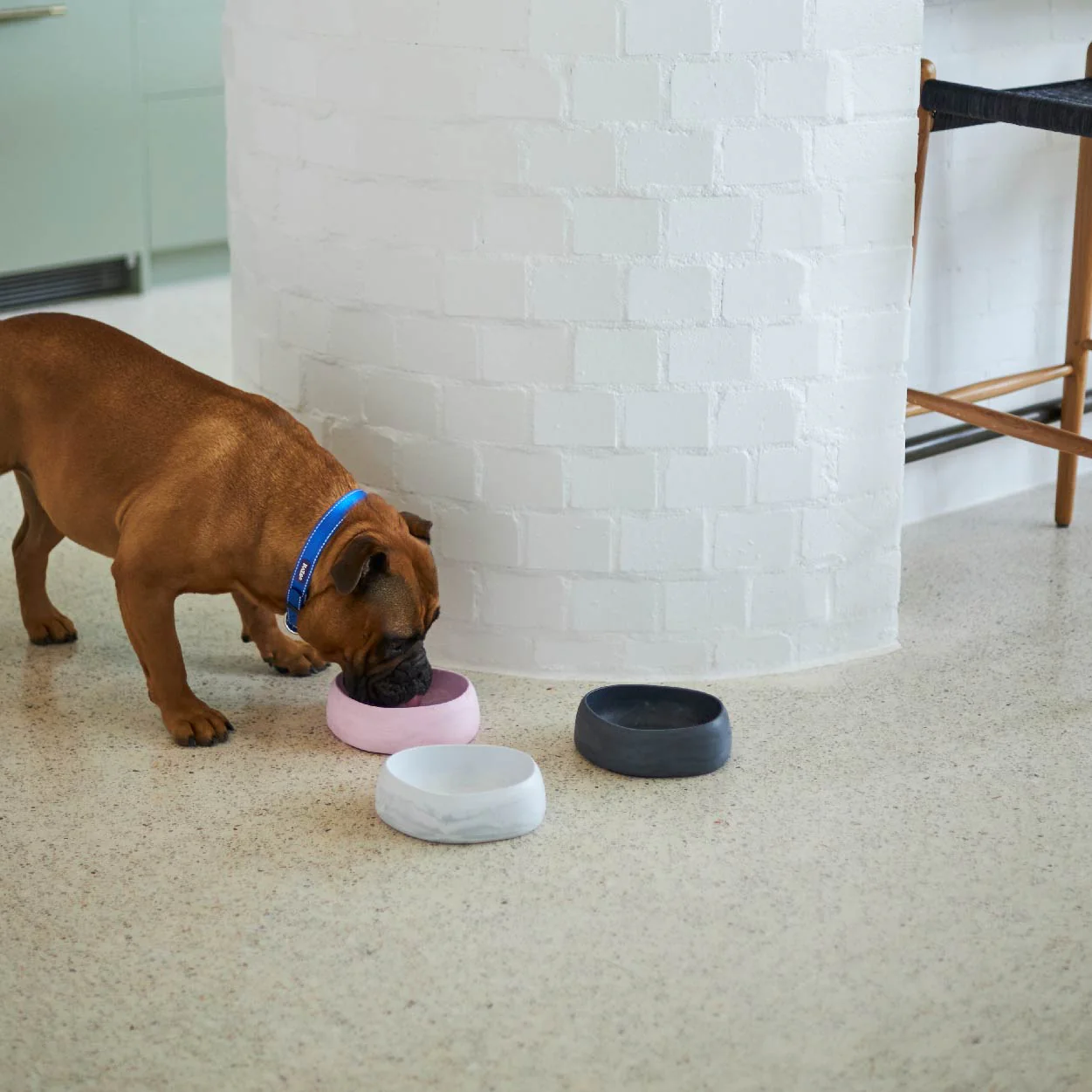 Better Bowl For Dogs - Musk Pink - Image 16