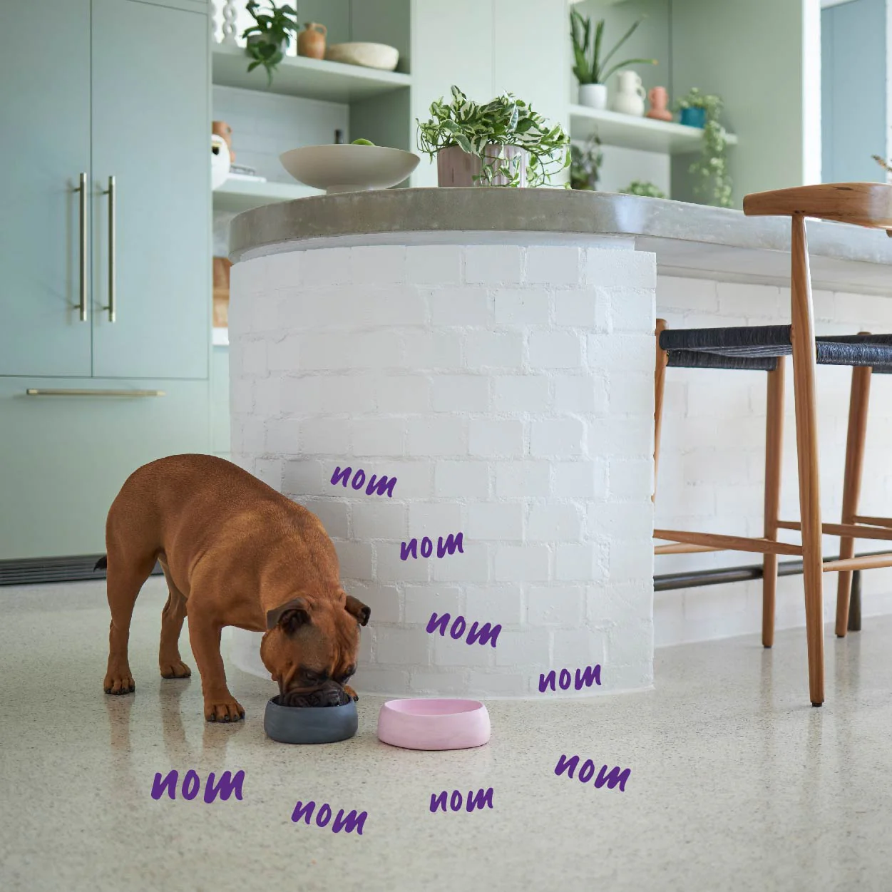 Better Bowl For Dogs - Musk Pink - Image 8