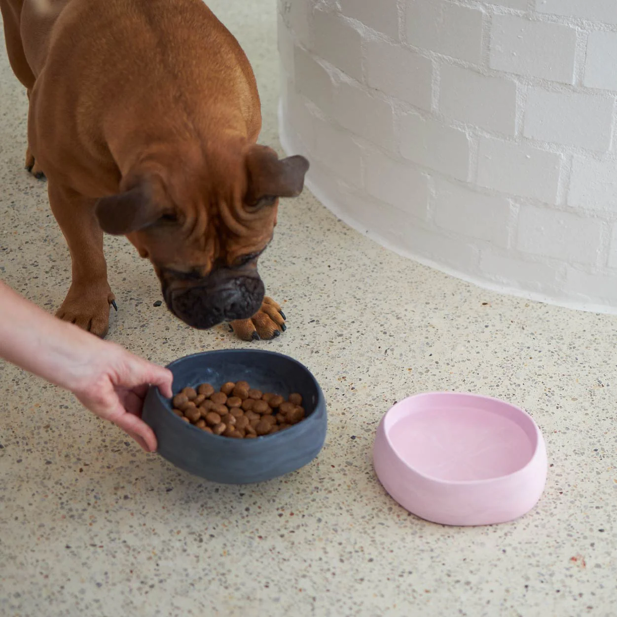 Better Bowl For Dogs - Musk Pink - Image 9