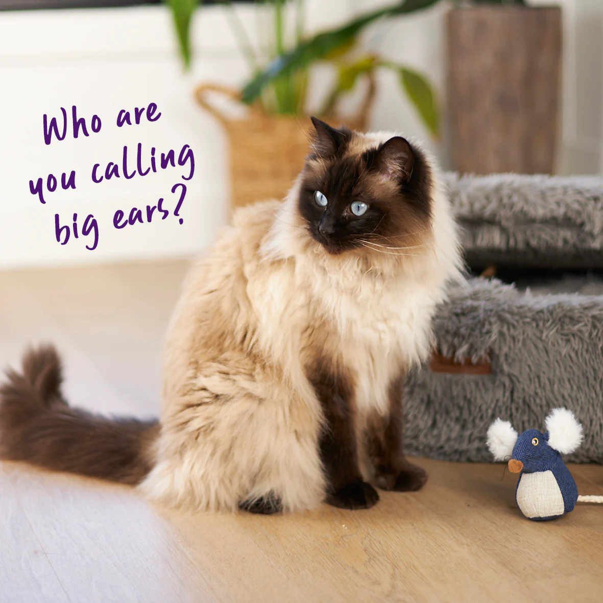 Big Ears Mouse With Catnip Cat Toy - Image 2