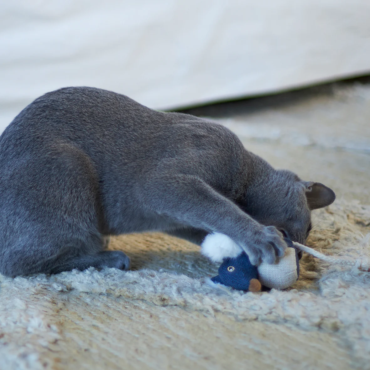 Big Ears Mouse With Catnip Cat Toy - Image 3